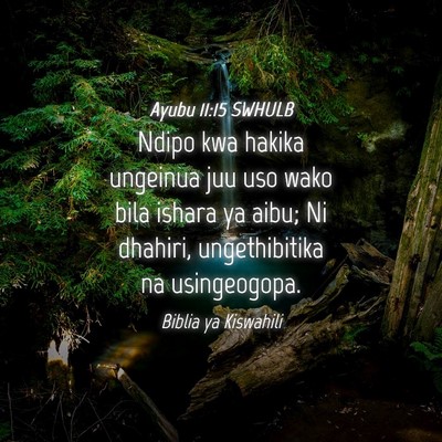 Picture 04 - Ayubu 11:15 SWHULB - Ndipo kwa hakika ungeinua juu uso wako bila - Bible Verse Picture