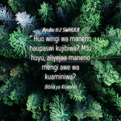 Picture 04 - Ayubu 11:2 SWHULB - “ Huo wingi wa maneno haupaswi kujibiwa? Mtu - Bible Verse Picture