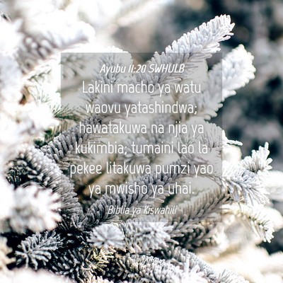 Picture 04 - Ayubu 11:20 SWHULB - Lakini macho ya watu waovu yatashindwa; - Bible Verse Picture