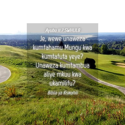 Picture 04 - Ayubu 11:7 SWHULB - Je, wewe unaweza kumfahamu Mungu kwa kumtafuta - Bible Verse Picture