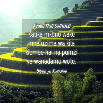 Picture 04 - Ayubu 12:10 SWHULB - Katika mkono wake mna uzima wa kila kiumbe hai na - Bible Verse Picture