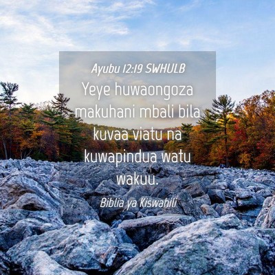 Picture 04 - Ayubu 12:19 SWHULB - Yeye huwaongoza makuhani mbali bila kuvaa viatu - Bible Verse Picture