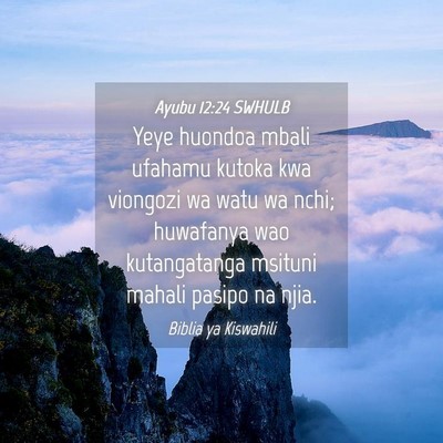 Picture 04 - Ayubu 12:24 SWHULB - Yeye huondoa mbali ufahamu kutoka kwa viongozi wa - Bible Verse Picture