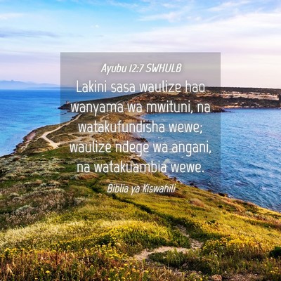 Picture 04 - Ayubu 12:7 SWHULB - Lakini sasa waulize hao wanyama wa mwituni, na - Bible Verse Picture