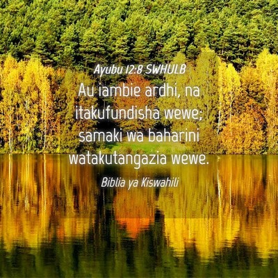 Picture 04 - Ayubu 12:8 SWHULB - Au iambie ardhi, na itakufundisha wewe; samaki wa - Bible Verse Picture