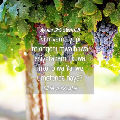 Picture 04 - Ayubu 12:9 SWHULB - Ni myama yupi miongoni mwa hawa asiyefahamu kuwa - Bible Verse Picture