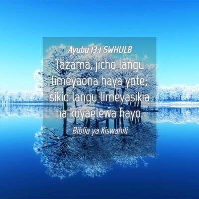 Picture 04 - Ayubu 13:1 SWHULB - Tazama, jicho langu limeyaona haya yote; sikio - Bible Verse Picture