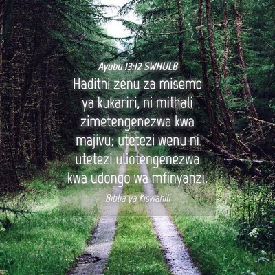 Picture 04 - Ayubu 13:12 SWHULB - Hadithi zenu za misemo ya kukariri, ni mithali - Bible Verse Picture
