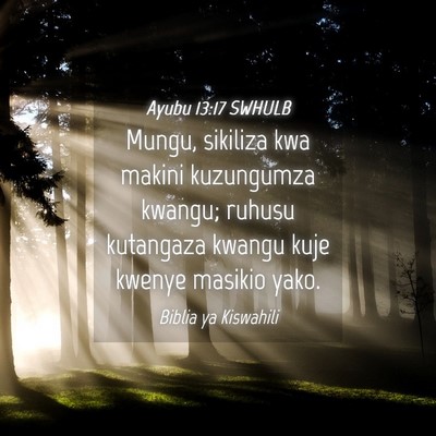 Picture 04 - Ayubu 13:17 SWHULB - Mungu, sikiliza kwa makini kuzungumza kwangu; - Bible Verse Picture