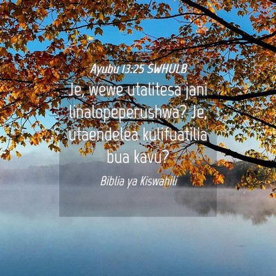 Picture 04 - Ayubu 13:25 SWHULB - Je, wewe utalitesa jani linalopeperushwa? Je, - Bible Verse Picture