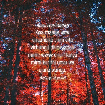 Picture 04 - Ayubu 13:26 SWHULB - Kwa maana wew unaandika chini vitu vichungu dhidi - Bible Verse Picture
