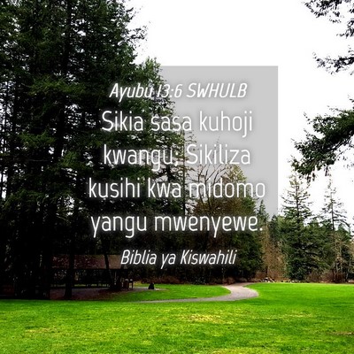 Picture 04 - Ayubu 13:6 SWHULB - Sikia sasa kuhoji kwangu; Sikiliza kusihi kwa - Bible Verse Picture