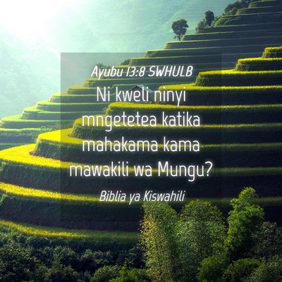 Picture 04 - Ayubu 13:8 SWHULB - Ni kweli ninyi mngetetea katika mahakama kama - Bible Verse Picture