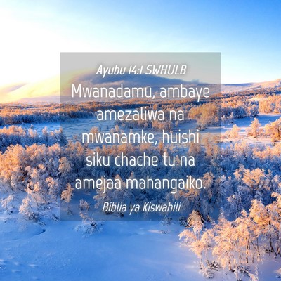 Picture 04 - Ayubu 14:1 SWHULB - Mwanadamu, ambaye amezaliwa na mwanamke, huishi - Bible Verse Picture