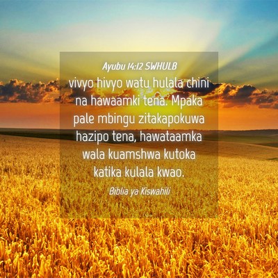 Picture 04 - Ayubu 14:12 SWHULB - vivyo hivyo watu hulala chini na hawaamki tena. - Bible Verse Picture