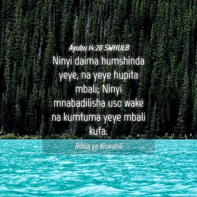 Picture 04 - Ayubu 14:20 SWHULB - Ninyi daima humshinda yeye, na yeye hupita mbali; - Bible Verse Picture