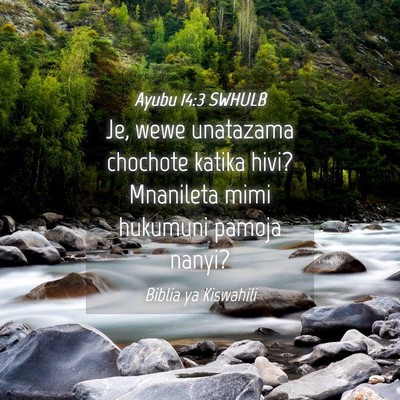Picture 04 - Ayubu 14:3 SWHULB - Je, wewe unatazama chochote katika hivi? - Bible Verse Picture