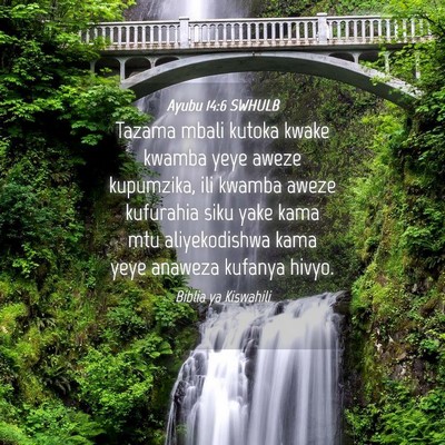 Picture 04 - Ayubu 14:6 SWHULB - Tazama mbali kutoka kwake kwamba yeye aweze - Bible Verse Picture