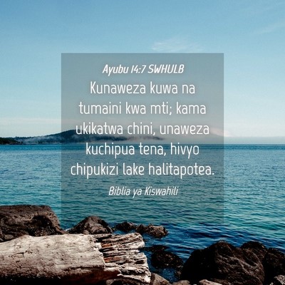 Picture 04 - Ayubu 14:7 SWHULB - Kunaweza kuwa na tumaini kwa mti; kama ukikatwa - Bible Verse Picture