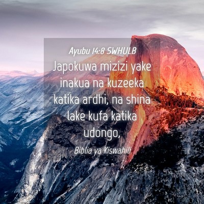 Picture 04 - Ayubu 14:8 SWHULB - Japokuwa mizizi yake inakua na kuzeeka katika - Bible Verse Picture