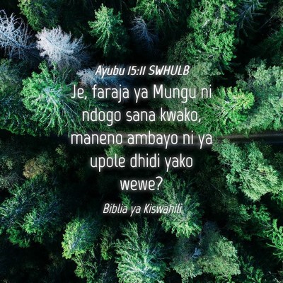 Picture 04 - Ayubu 15:11 SWHULB - Je, faraja ya Mungu ni ndogo sana kwako, maneno - Bible Verse Picture