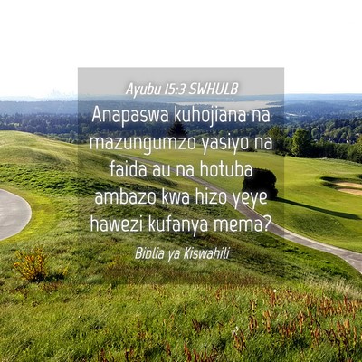 Picture 04 - Ayubu 15:3 SWHULB - Anapaswa kuhojiana na mazungumzo yasiyo na faida - Bible Verse Picture