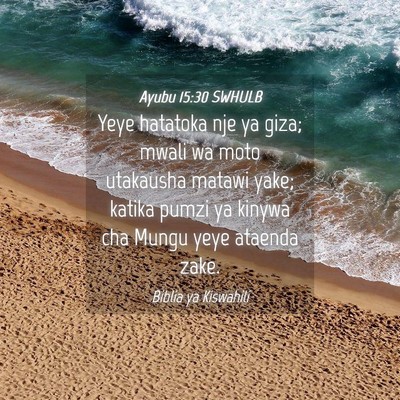 Picture 04 - Ayubu 15:30 SWHULB - Yeye hatatoka nje ya giza; mwali wa moto - Bible Verse Picture