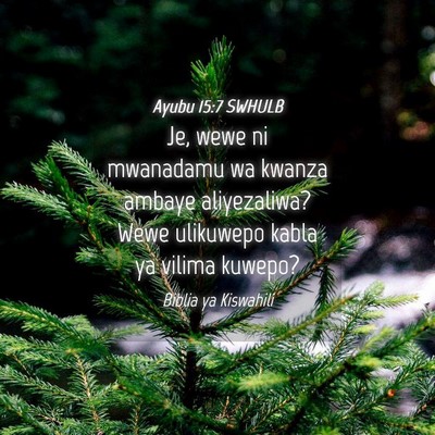 Picture 04 - Ayubu 15:7 SWHULB - Je, wewe ni mwanadamu wa kwanza ambaye - Bible Verse Picture