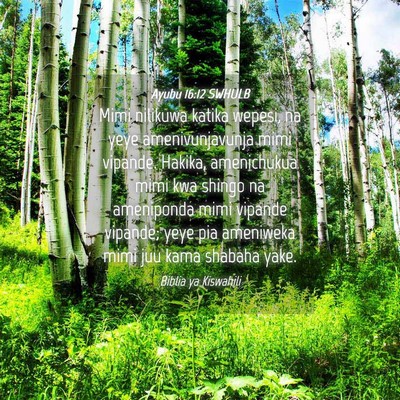 Picture 04 - Ayubu 16:12 SWHULB - Mimi nilikuwa katika wepesi, na yeye - Bible Verse Picture