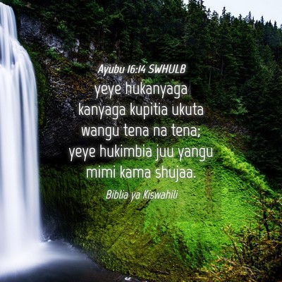 Picture 04 - Ayubu 16:14 SWHULB - yeye hukanyaga kanyaga kupitia ukuta wangu tena - Bible Verse Picture