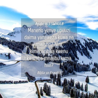 Picture 04 - Ayubu 16:3 SWHULB - Maneno yenye upuuzi daima yanaweza kuwa na - Bible Verse Picture