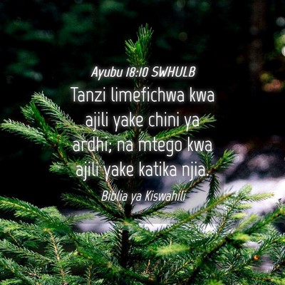 Picture 04 - Ayubu 18:10 SWHULB - Tanzi limefichwa kwa ajili yake chini ya ardhi; - Bible Verse Picture