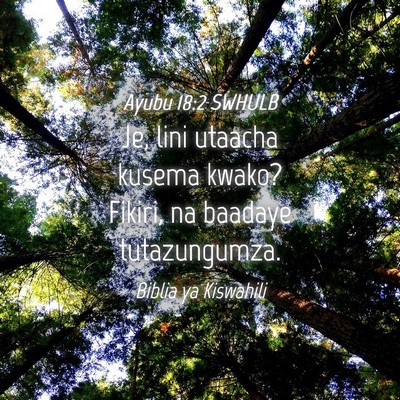 Picture 04 - Ayubu 18:2 SWHULB - Je, lini utaacha kusema kwako? Fikiri, na baadaye - Bible Verse Picture