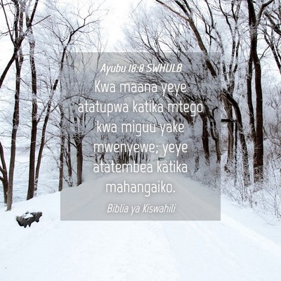 Picture 04 - Ayubu 18:8 SWHULB - Kwa maana yeye atatupwa katika mtego kwa miguu - Bible Verse Picture