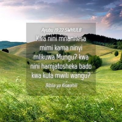 Picture 04 - Ayubu 19:22 SWHULB - Kwa nini mnanitesa mimi kama ninyi mlikuwa Mungu? - Bible Verse Picture