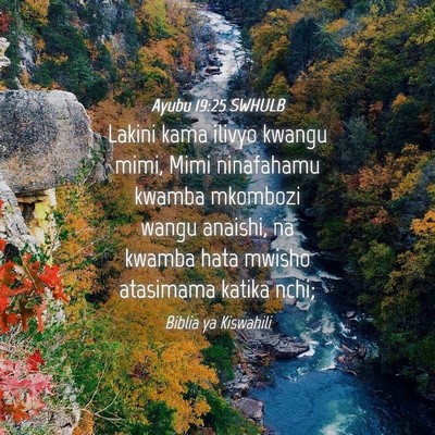 Picture 04 - Ayubu 19:25 SWHULB - Lakini kama ilivyo kwangu mimi, Mimi ninafahamu - Bible Verse Picture