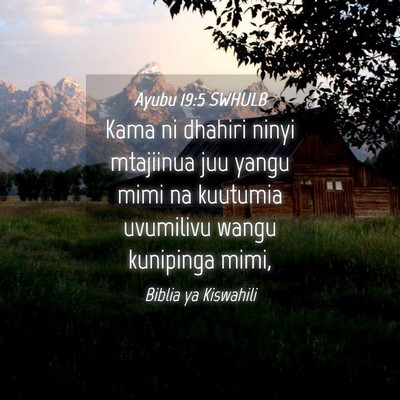 Picture 04 - Ayubu 19:5 SWHULB - Kama ni dhahiri ninyi mtajiinua juu yangu mimi na - Bible Verse Picture