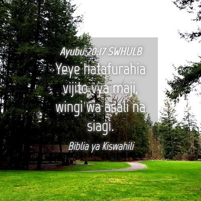 Picture 04 - Ayubu 20:17 SWHULB - Yeye hatafurahia vijito vya maji, wingi wa asali - Bible Verse Picture