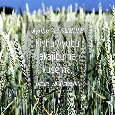 Picture 04 - Ayubu 21:1 SWHULB - Kisha Ayubu akajibu na - Bible Verse Picture