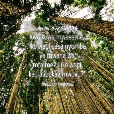 Picture 04 - Ayubu 21:28 SWHULB - Kwa kuwa mwasema, 'Iko wapi sasa nyumba ya mwana - Bible Verse Picture