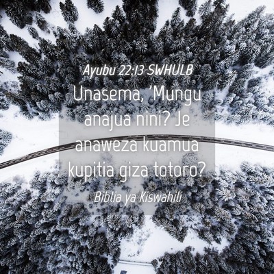 Picture 04 - Ayubu 22:13 SWHULB - Unasema, 'Mungu anajua nini? Je anaweza kuamua - Bible Verse Picture