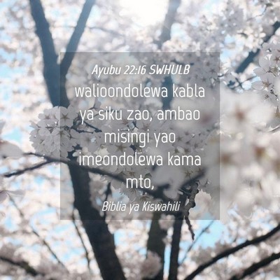 Picture 04 - Ayubu 22:16 SWHULB - walioondolewa kabla ya siku zao, ambao misingi - Bible Verse Picture