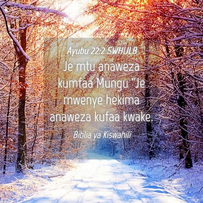 Picture 04 - Ayubu 22:2 SWHULB - Je mtu anaweza kumfaa Mungu “Je mwenye hekima - Bible Verse Picture