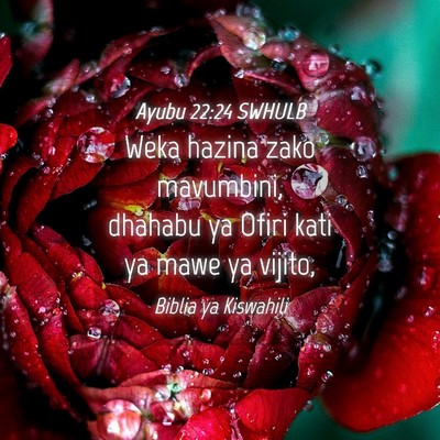 Picture 04 - Ayubu 22:24 SWHULB - Weka hazina zako mavumbini, dhahabu ya Ofiri kati - Bible Verse Picture