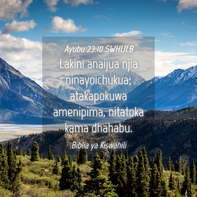 Picture 04 - Ayubu 23:10 SWHULB - Lakini anaijua njia ninayoichukua; atakapokuwa - Bible Verse Picture
