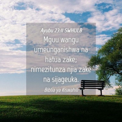 Picture 04 - Ayubu 23:11 SWHULB - Mguu wangu umeunganishwa na hatua zake; - Bible Verse Picture