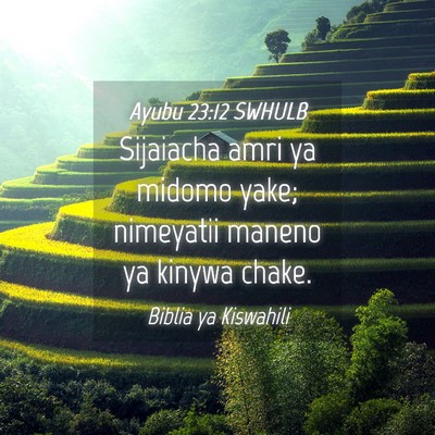 Picture 04 - Ayubu 23:12 SWHULB - Sijaiacha amri ya midomo yake; nimeyatii maneno - Bible Verse Picture