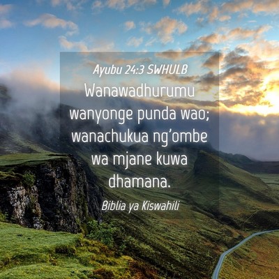 Picture 04 - Ayubu 24:3 SWHULB - Wanawadhurumu wanyonge punda wao; wanachukua - Bible Verse Picture