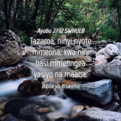 Picture 04 - Ayubu 27:12 SWHULB - Tazama, ninyi nyote mmeona; kwa nini basi - Bible Verse Picture