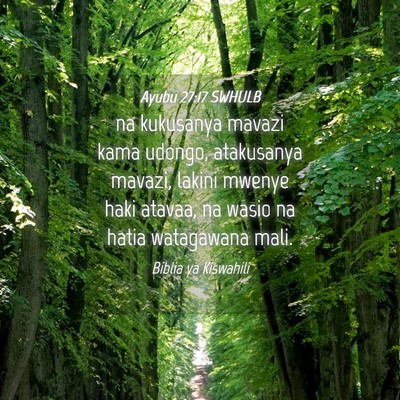 Picture 04 - Ayubu 27:17 SWHULB - na kukusanya mavazi kama udongo, atakusanya - Bible Verse Picture